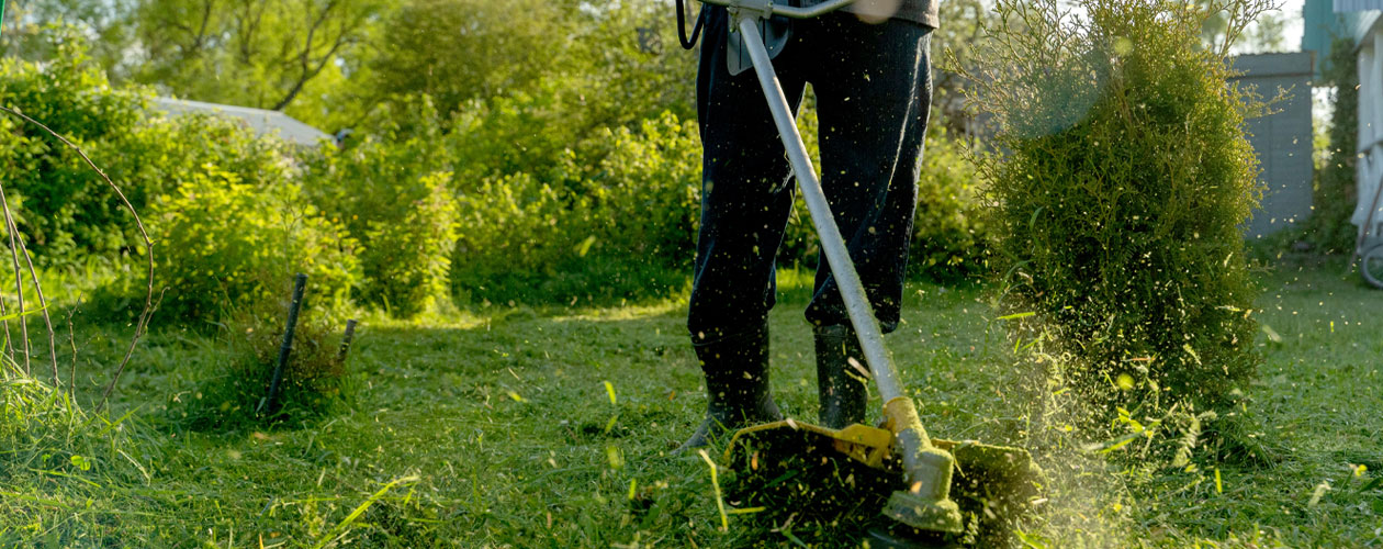 A worker wearing boots uses a line trimmer to cut grass, with shrubs and trees in the background; Workforce Australia and Global Skills logos appear in the bottom left corner.