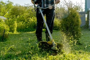 A worker wearing boots uses a line trimmer to cut grass, with shrubs and trees in the background; Workforce Australia and Global Skills logos appear in the bottom left corner.
